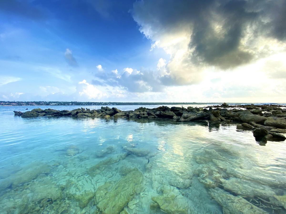 Le Paradis Zen 1Er Etage Et Rdc Vue Plage Et Mer Ste Anne ساينت آن المظهر الخارجي الصورة