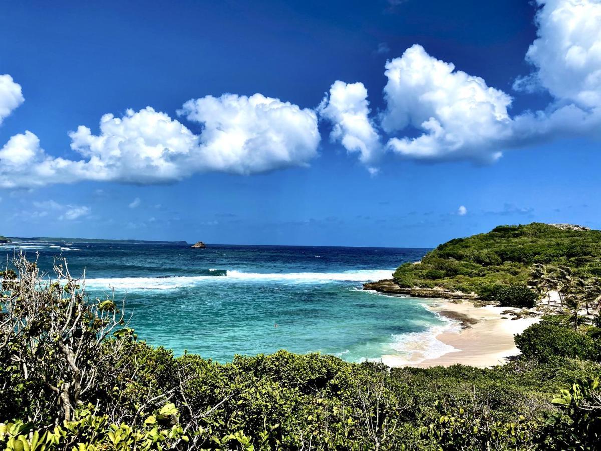 Le Paradis Zen 1Er Etage Et Rdc Vue Plage Et Mer Ste Anne ساينت آن المظهر الخارجي الصورة