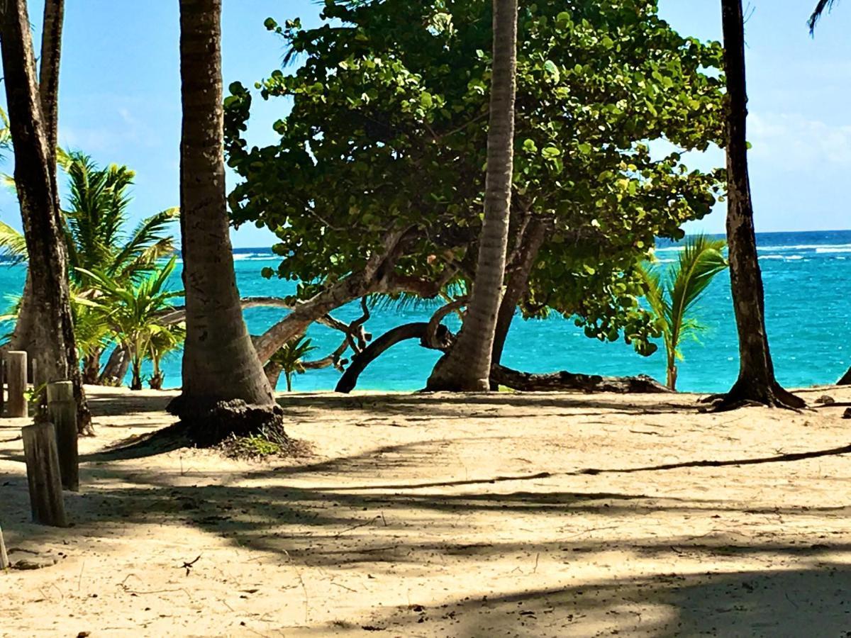 Le Paradis Zen 1Er Etage Et Rdc Vue Plage Et Mer Ste Anne ساينت آن المظهر الخارجي الصورة