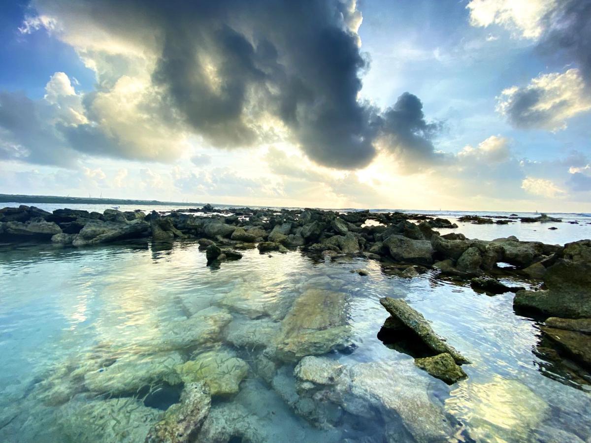 Le Paradis Zen 1Er Etage Et Rdc Vue Plage Et Mer Ste Anne ساينت آن المظهر الخارجي الصورة