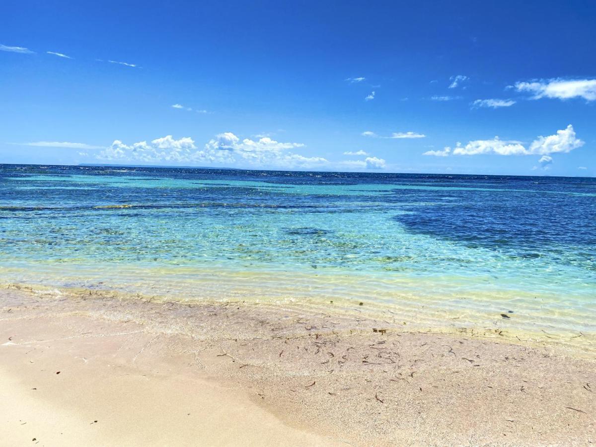 Le Paradis Zen 1Er Etage Et Rdc Vue Plage Et Mer Ste Anne ساينت آن المظهر الخارجي الصورة