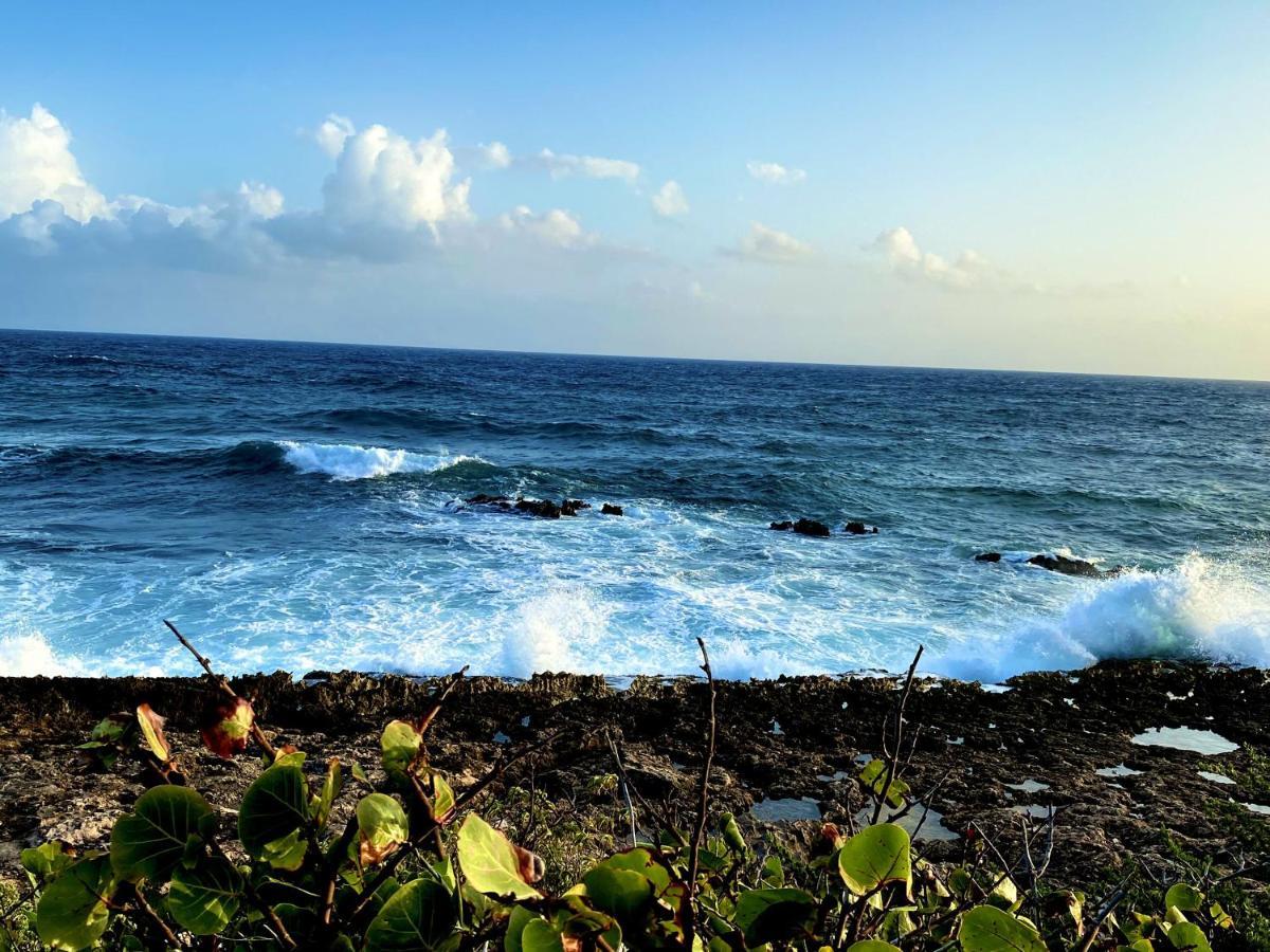 Le Paradis Zen 1Er Etage Et Rdc Vue Plage Et Mer Ste Anne ساينت آن المظهر الخارجي الصورة