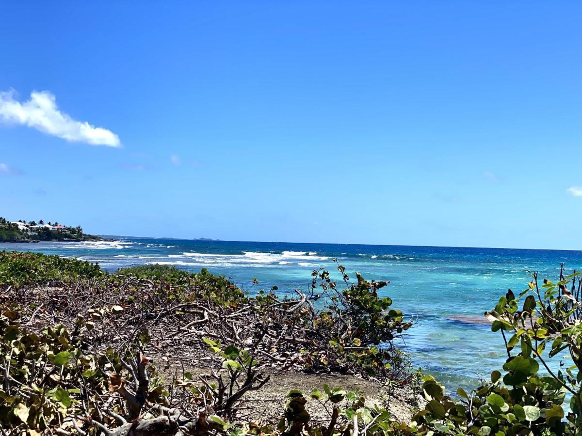 Le Paradis Zen 1Er Etage Et Rdc Vue Plage Et Mer Ste Anne ساينت آن المظهر الخارجي الصورة