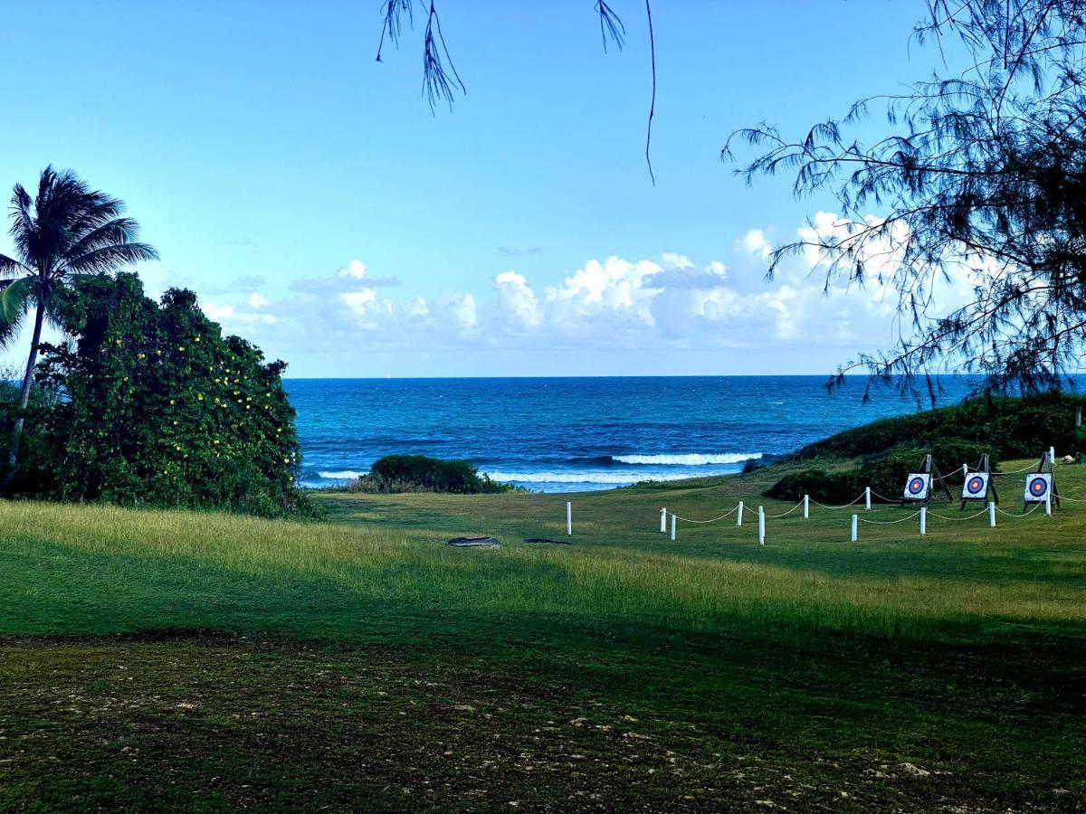 Le Paradis Zen 1Er Etage Et Rdc Vue Plage Et Mer Ste Anne ساينت آن المظهر الخارجي الصورة