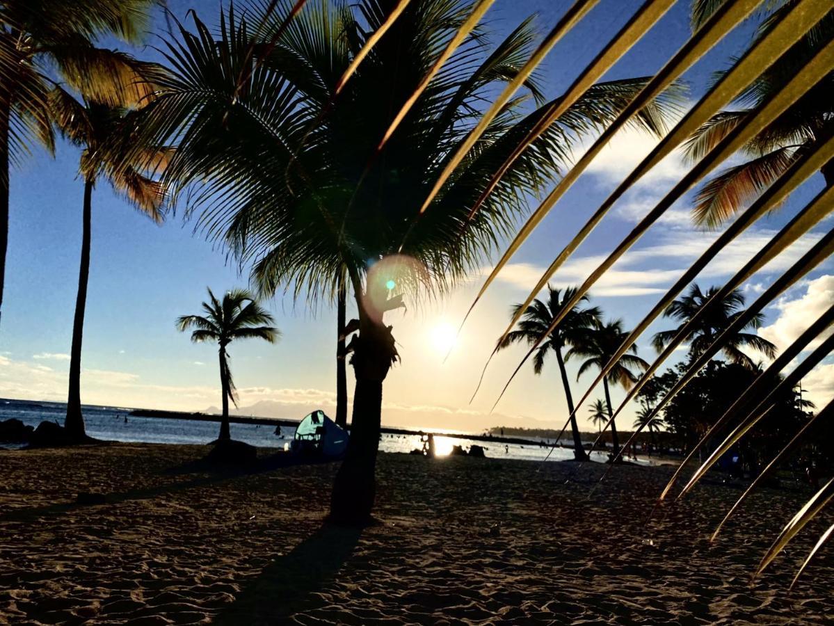 Le Paradis Zen 1Er Etage Et Rdc Vue Plage Et Mer Ste Anne ساينت آن المظهر الخارجي الصورة