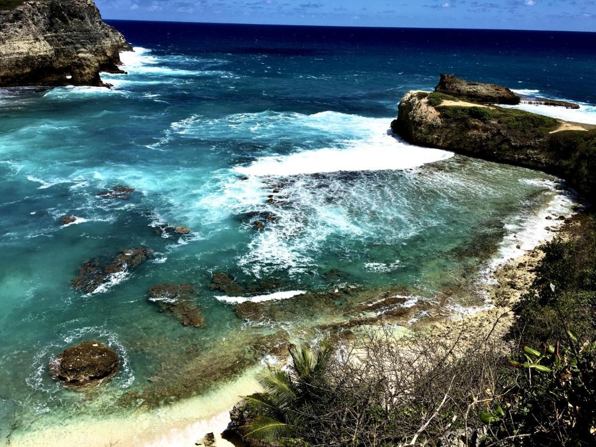 Le Paradis Zen 1Er Etage Et Rdc Vue Plage Et Mer Ste Anne ساينت آن المظهر الخارجي الصورة