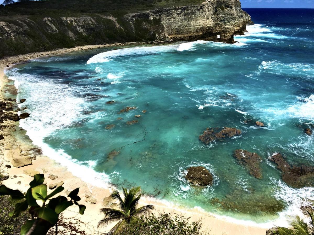 Le Paradis Zen 1Er Etage Et Rdc Vue Plage Et Mer Ste Anne ساينت آن المظهر الخارجي الصورة