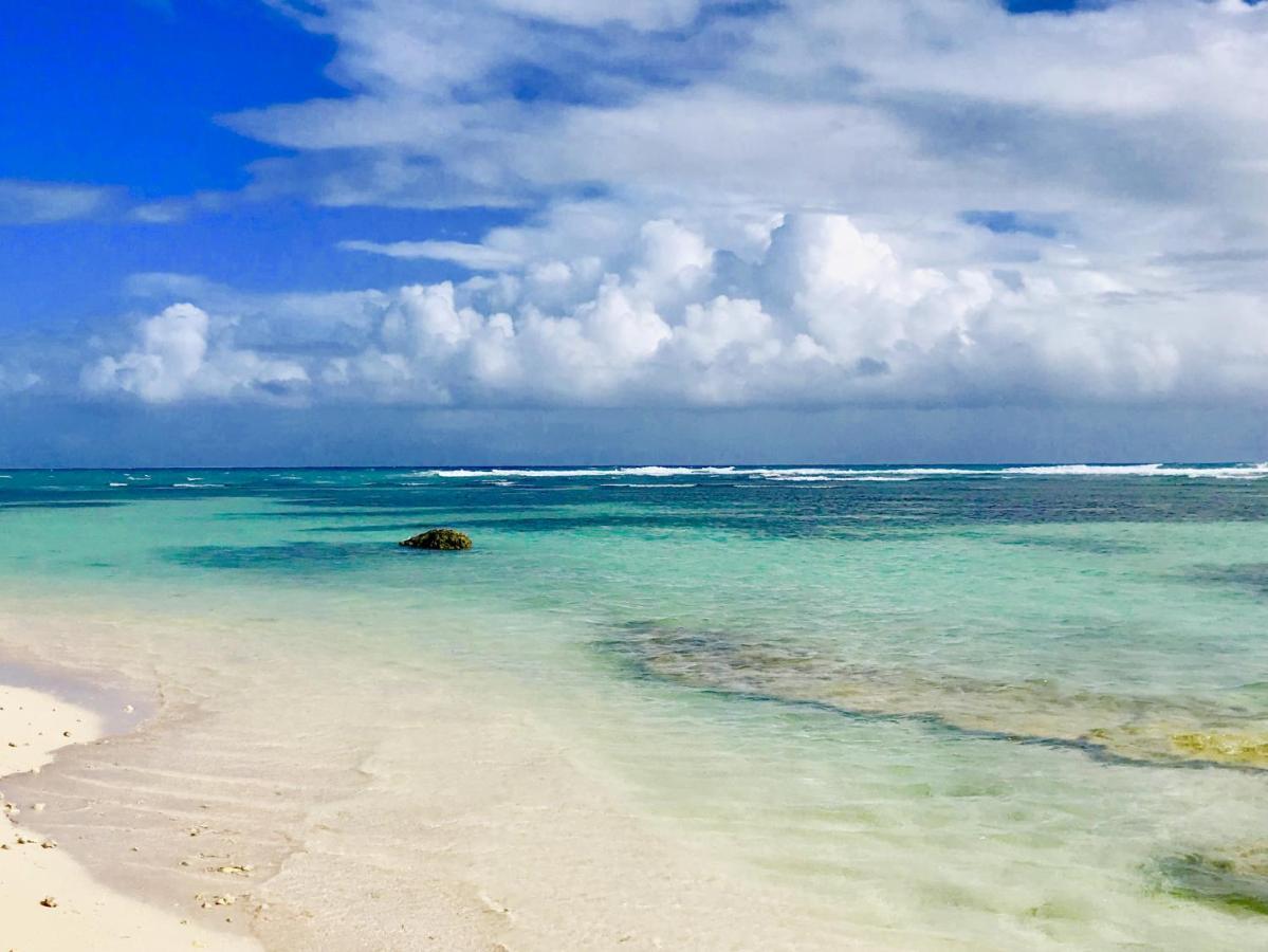 Le Paradis Zen 1Er Etage Et Rdc Vue Plage Et Mer Ste Anne ساينت آن المظهر الخارجي الصورة