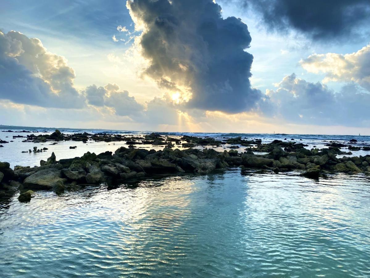 Le Paradis Zen 1Er Etage Et Rdc Vue Plage Et Mer Ste Anne ساينت آن المظهر الخارجي الصورة